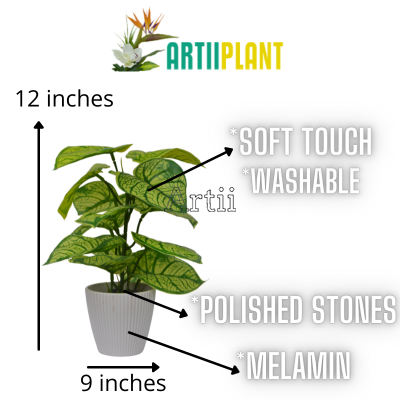 Artiiplant