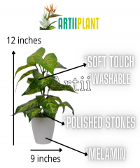 Artiiplant