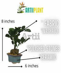 Artiiplant