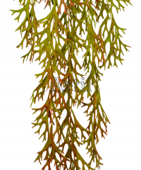 Artiiplant