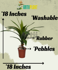 Artiiplant
