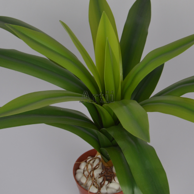 Artiiplant