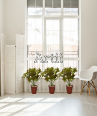 Artiiplant