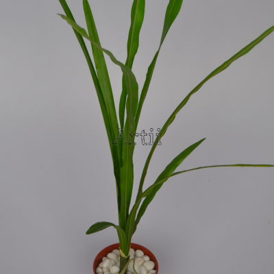 Artiiplant