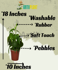 Artiiplant