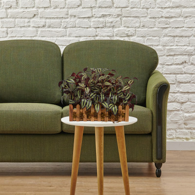 Artiiplant