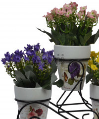 Artiiplant