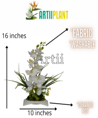 Artiiplant