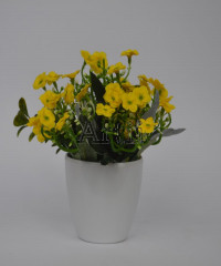 Artiiplant