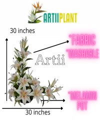 Artiiplant