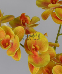 Artiiplant