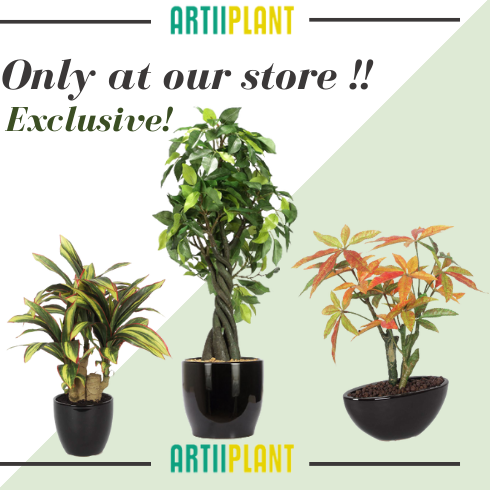 Artiiplant