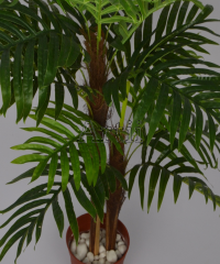 Artiiplant
