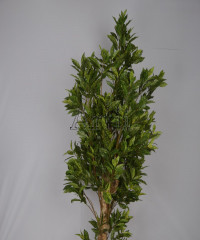 Artiiplant
