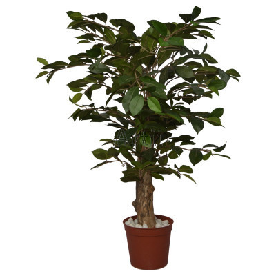 Artiiplant - Green Ficus