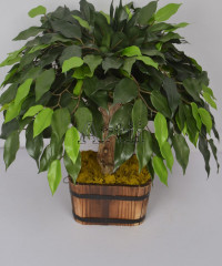 Artiiplant