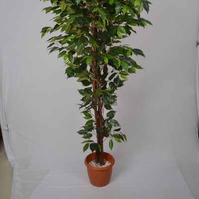Artiiplant