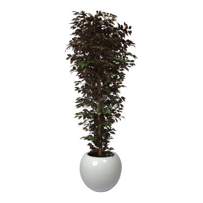 Artiiplant