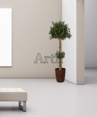 Artiiplant