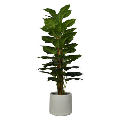 Artiiplant