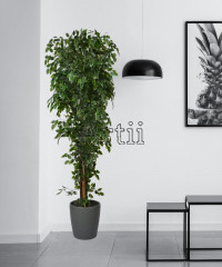 Artiiplant