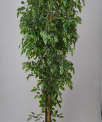 Artiiplant