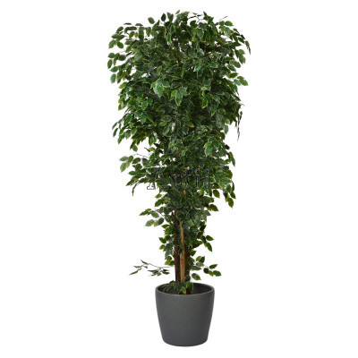 Artiiplant