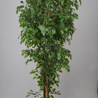 Artiiplant