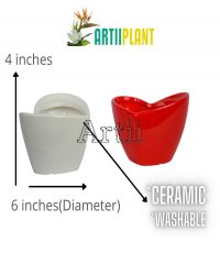 Artiiplant