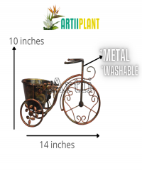 Artiiplant