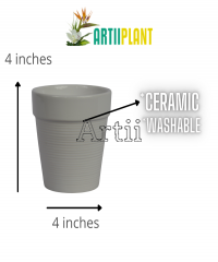 Artiiplant