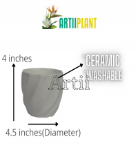 Artiiplant