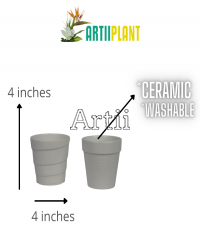 Artiiplant